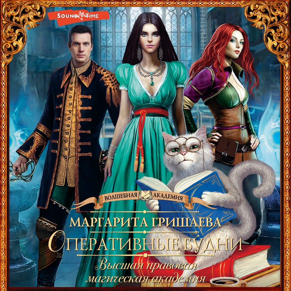 Высшая правовая магическая академия. Оперативные будни