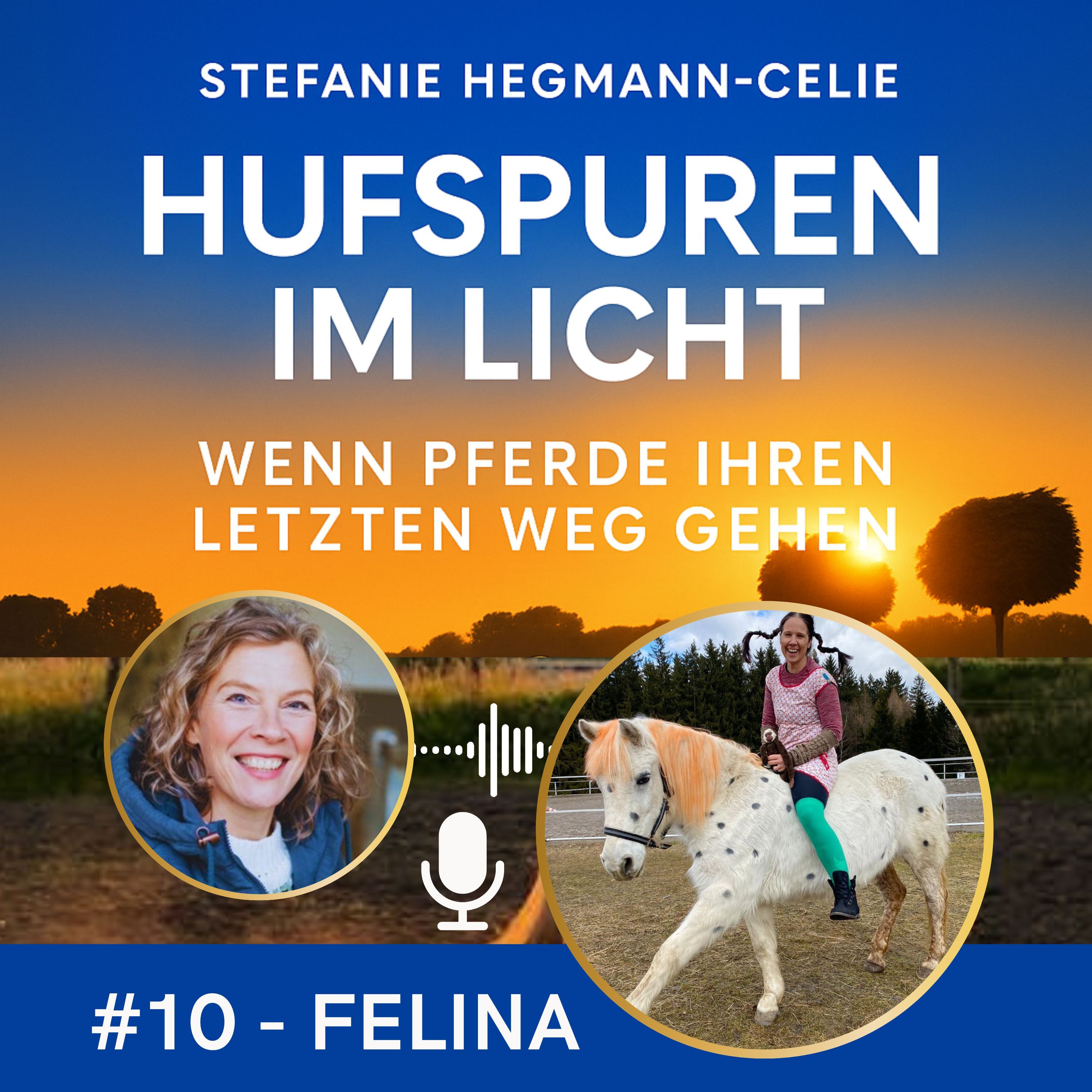 #10 - Felina: Partner in crime