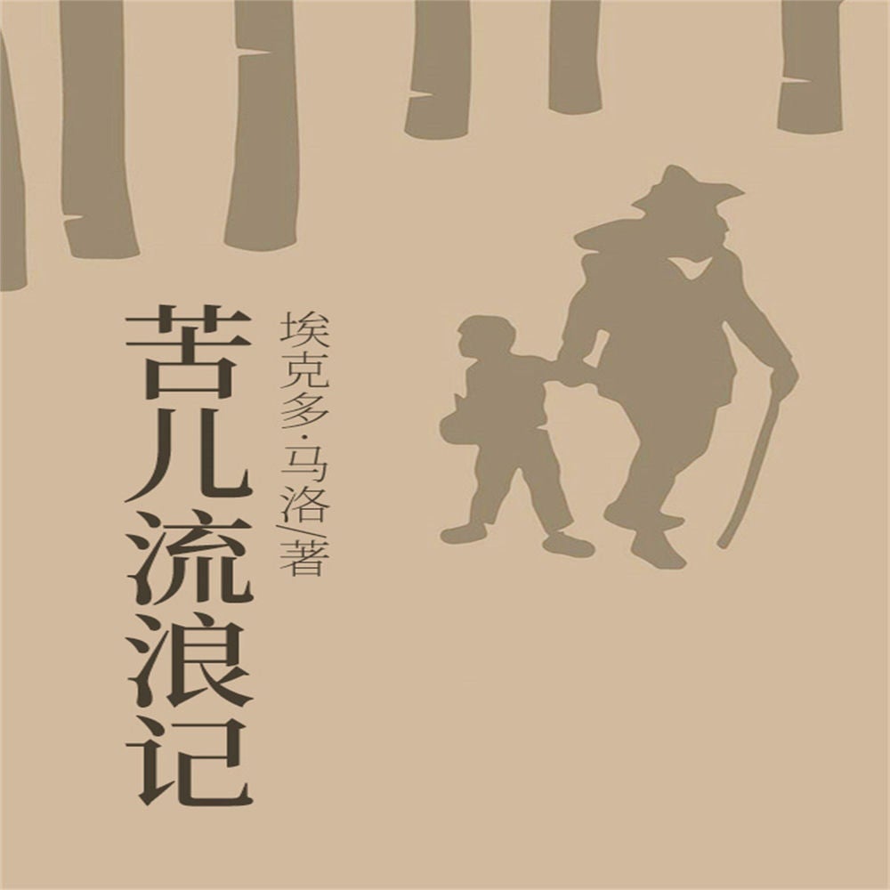 苦儿流浪记