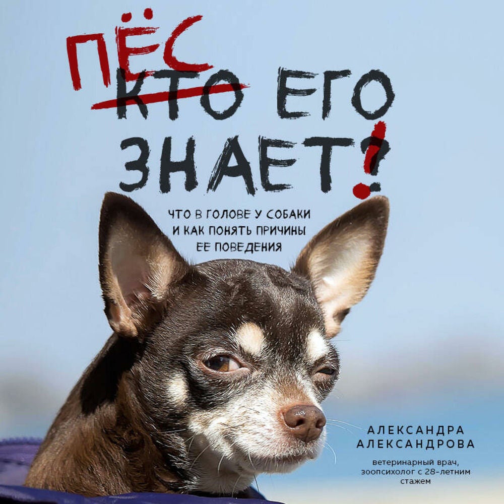 Пес его знает! Что в голове у собаки, и как понять причины ее поведения