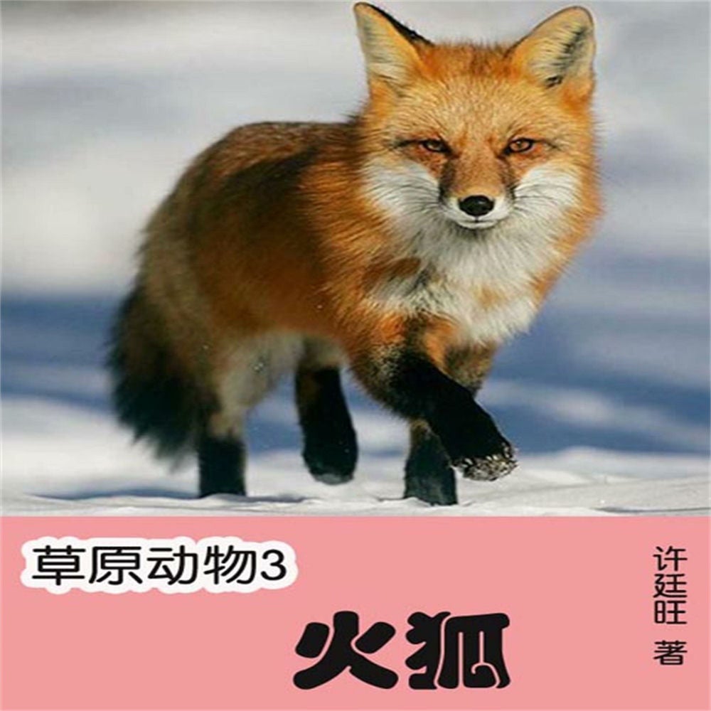 草原动物3：火狐
