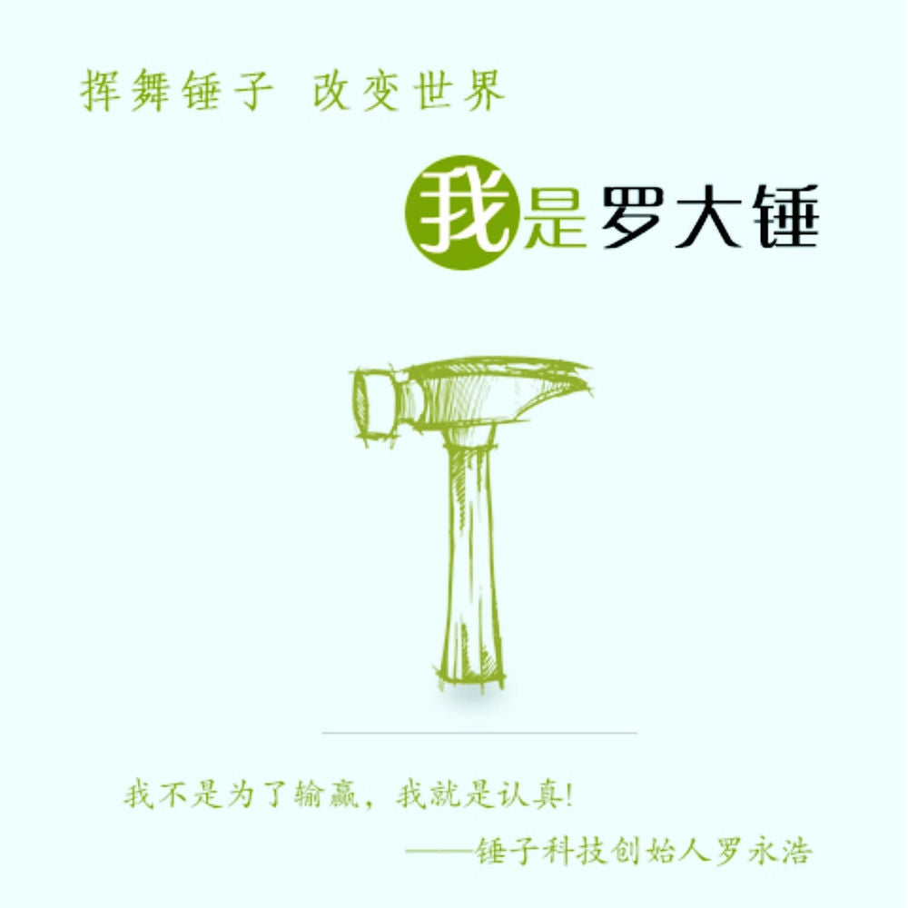 挥舞锤子，改变世界：我是罗大锤