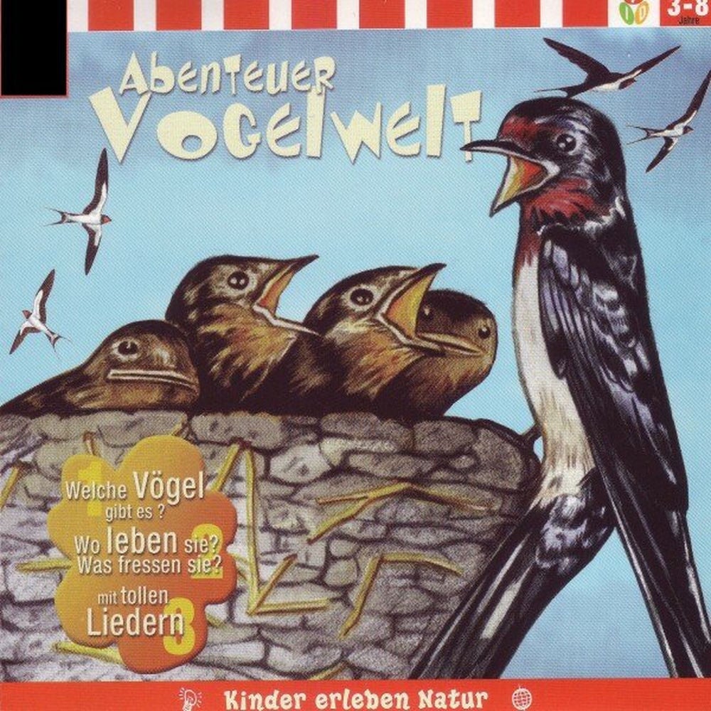 Abenteuer Vogelwelt