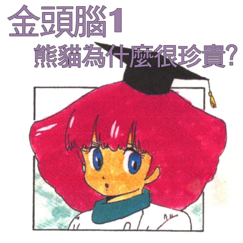 金頭腦1 熊貓為什麼很珍貴？