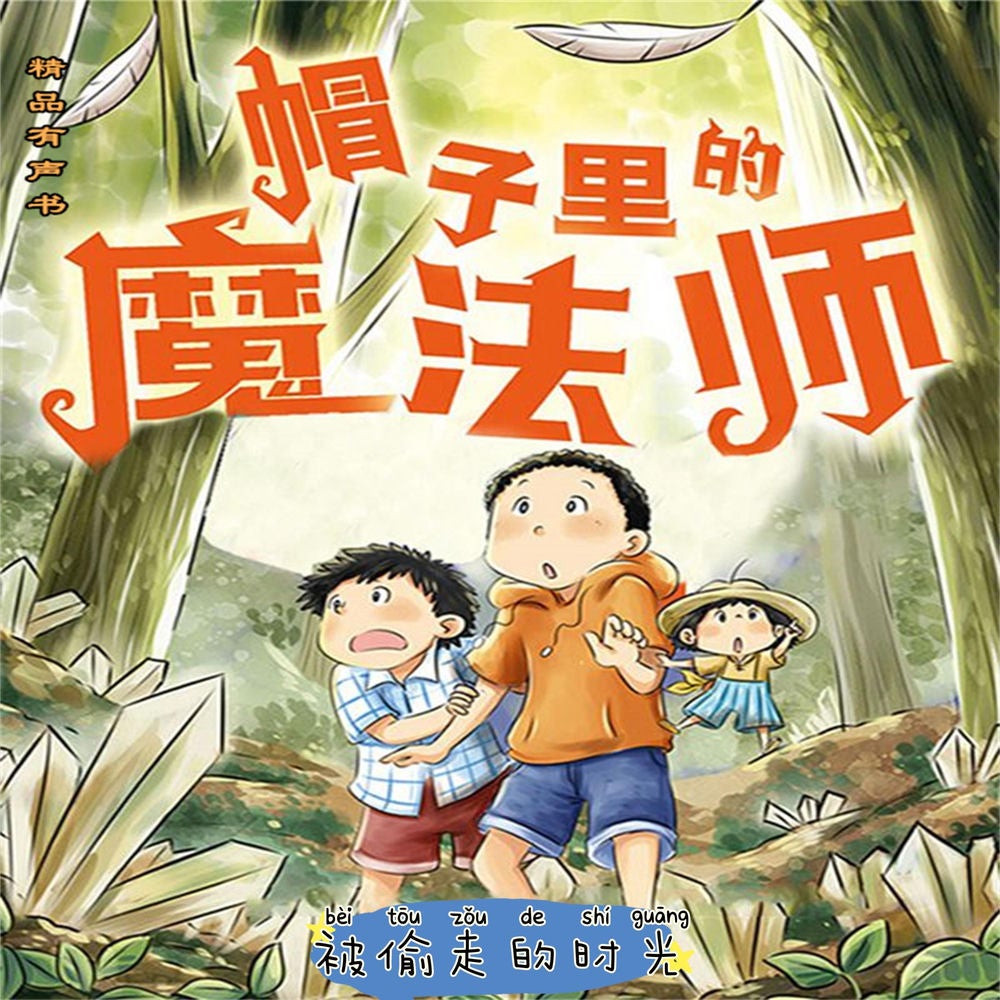 帽子里的魔法师2：被偷走的时光