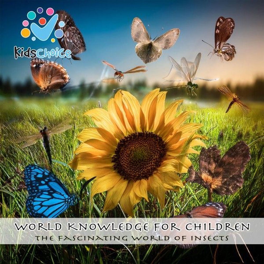 The Fascinating World of Insects
