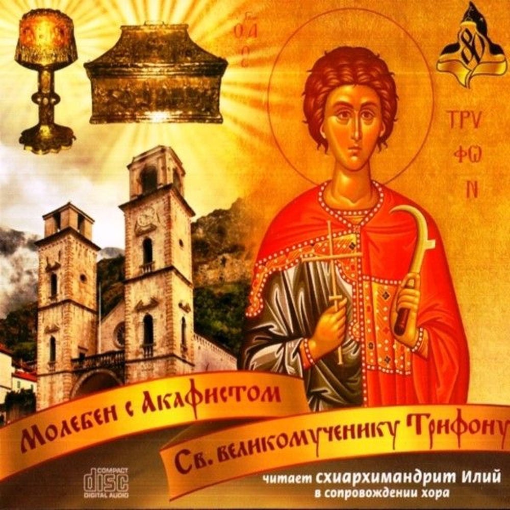 Молебен с акафистом св. Вмч. Пантелеимону