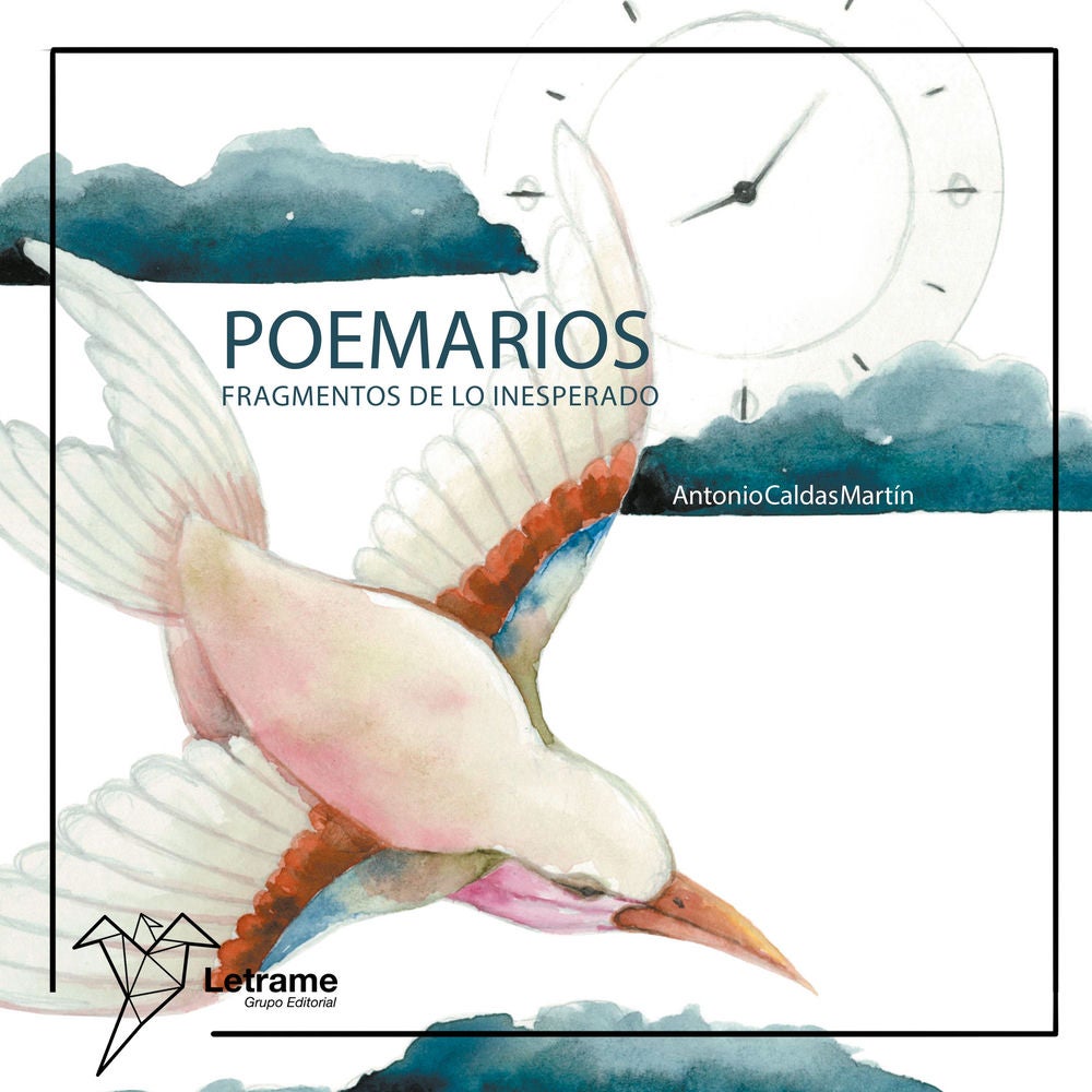 Poemario: Fragmentos de lo inesperado