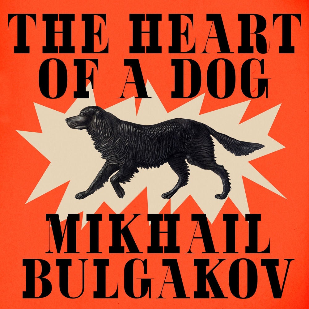 The Heart of a Dog