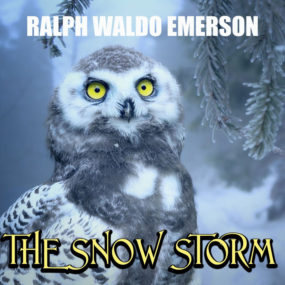 The Snow Storm