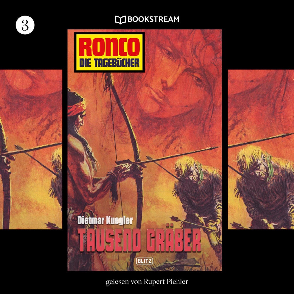 Ronco - Die Tagebücher, Folge 3: Tausend Gräber