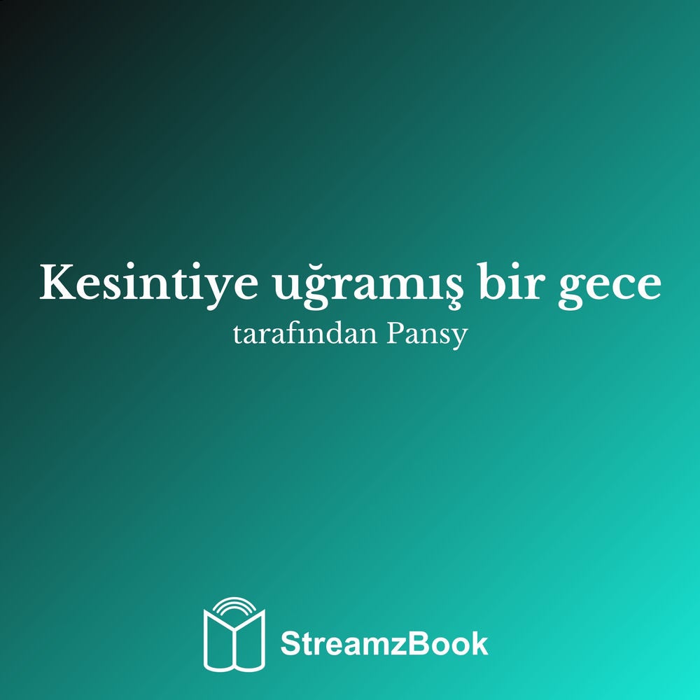 Kesintiye uğramış bir gece