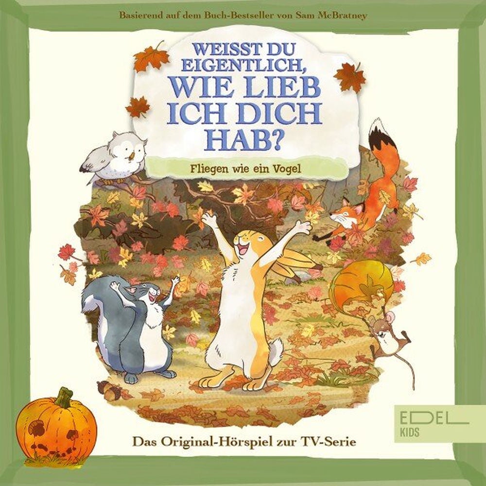 Fliegen wie ein Vogel (Das Original-Hörspiel zur TV-Serie)