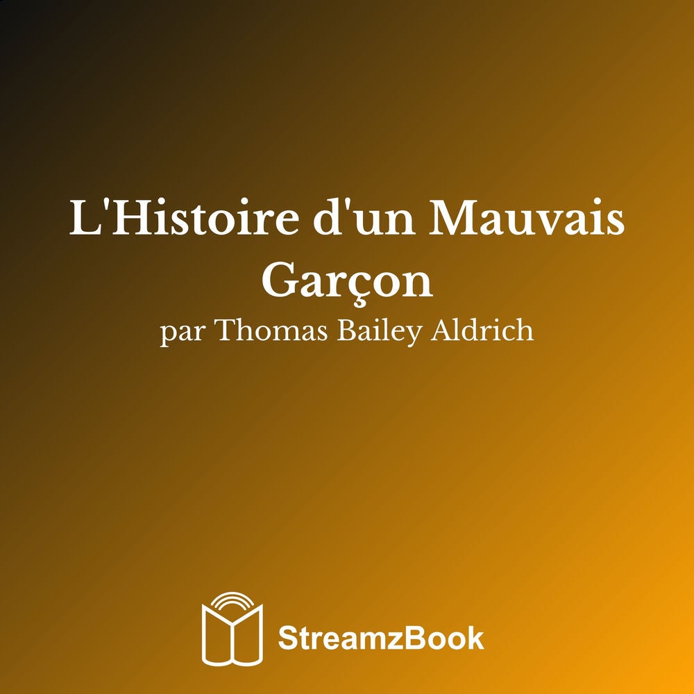 L'Histoire d'un Mauvais Garçon