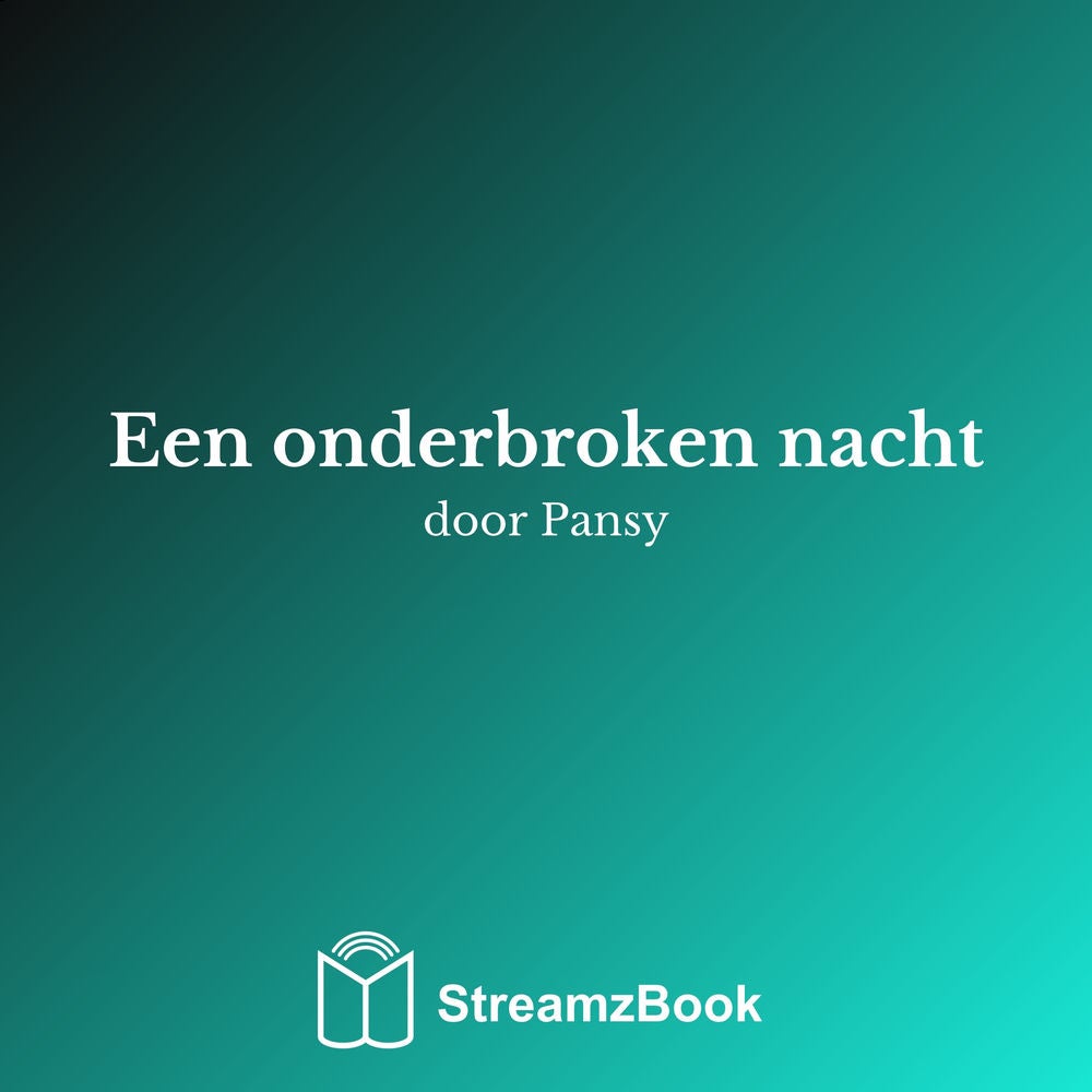 Een onderbroken nacht