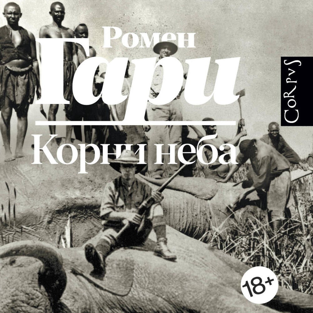 Корни неба