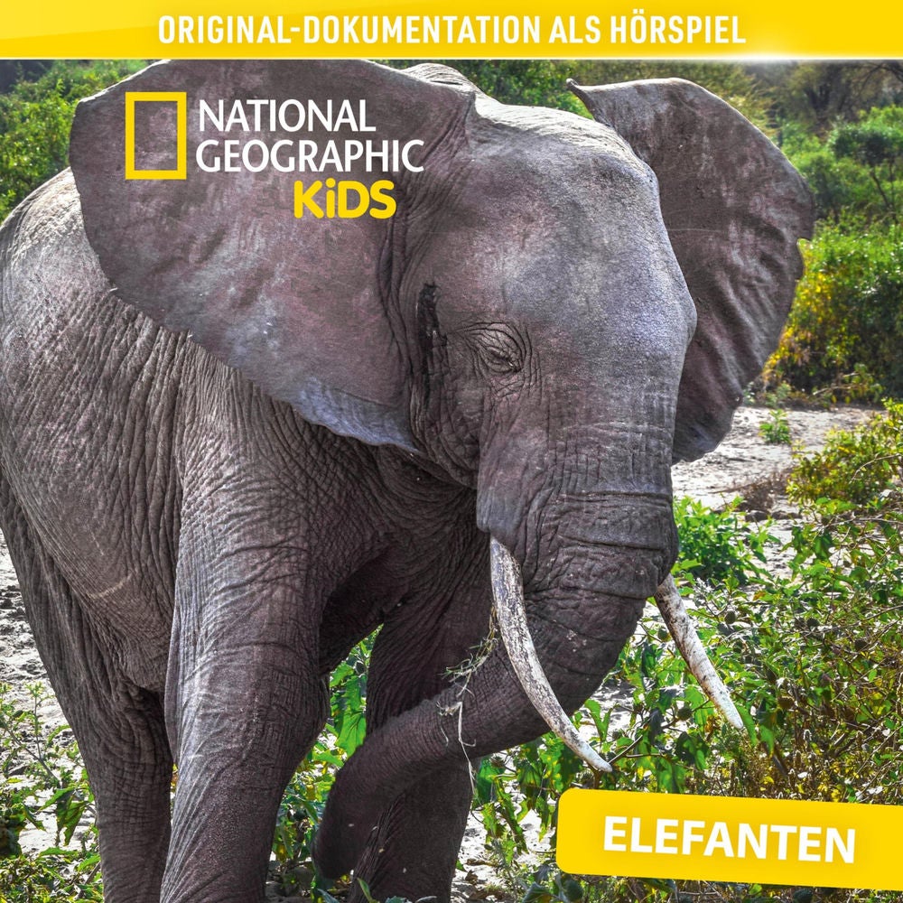 National Geographic Kids: Elefanten (Original-Dokumentation als Hörspiel)