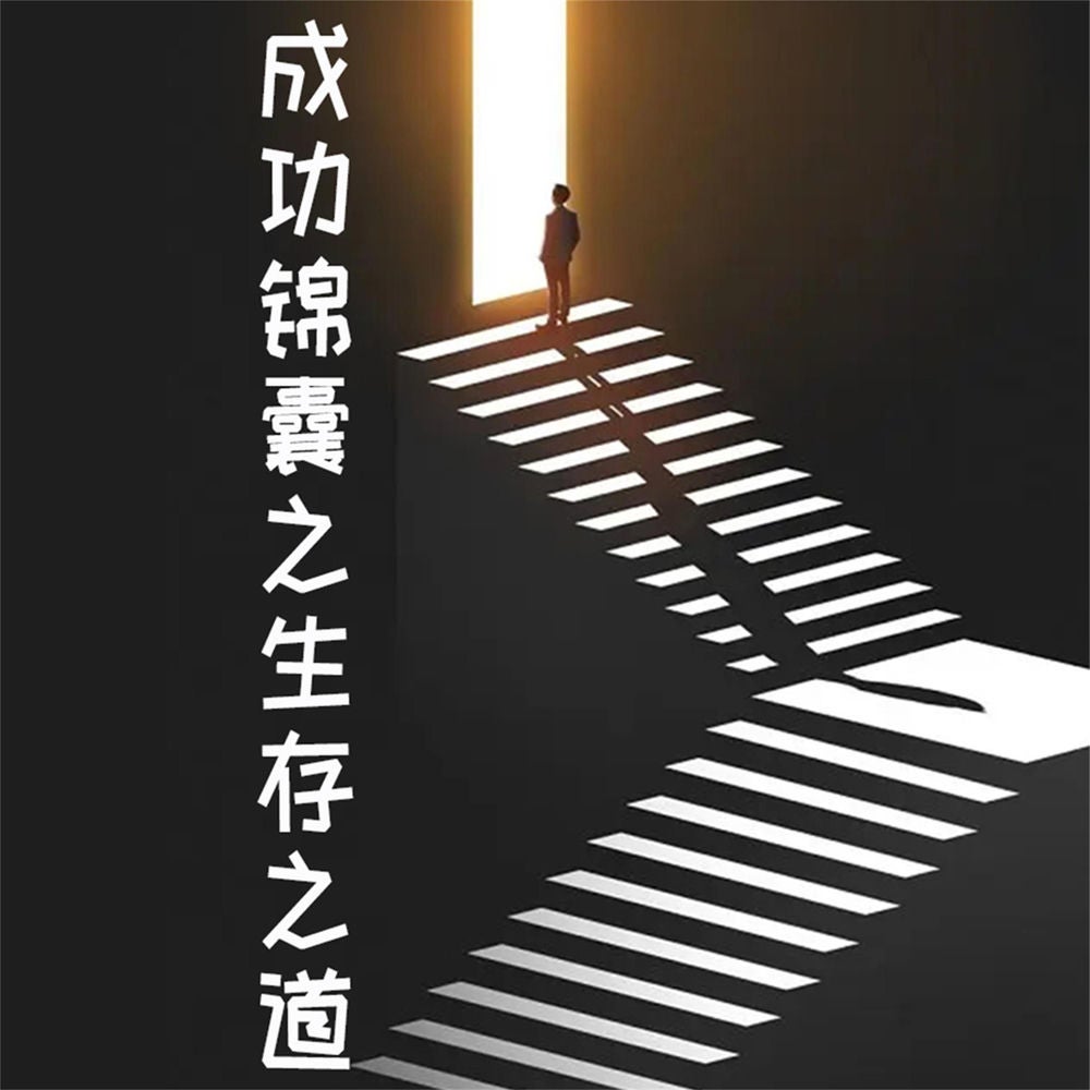 成功锦囊之生存之道 (全4册)