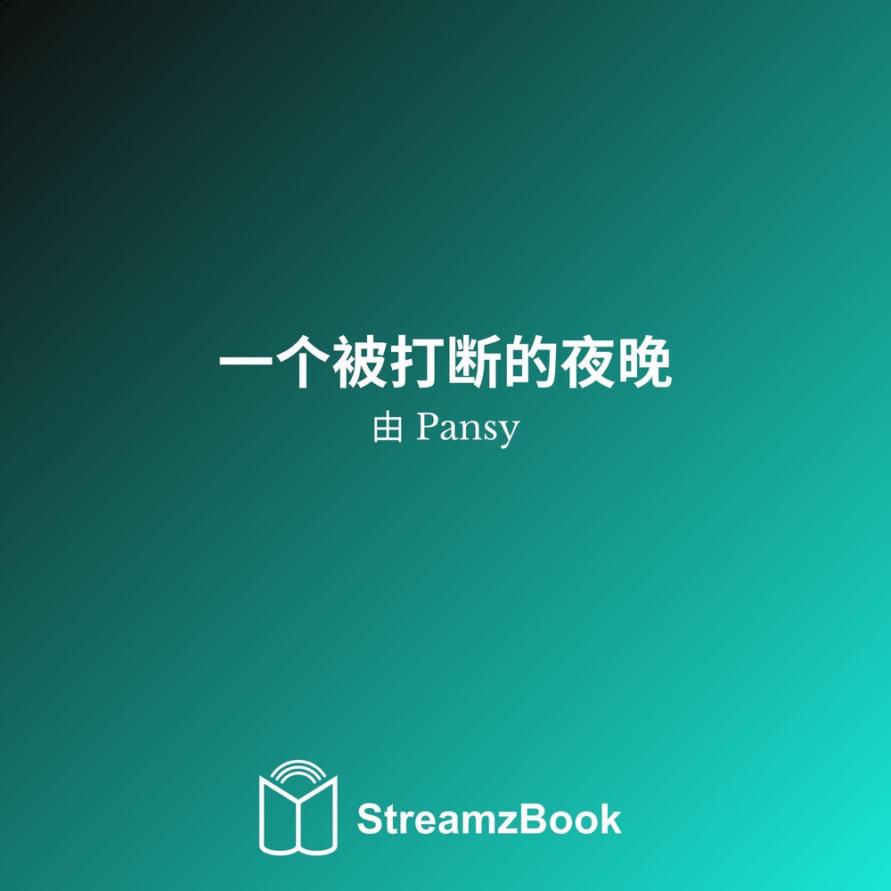 一个被打断的夜晚