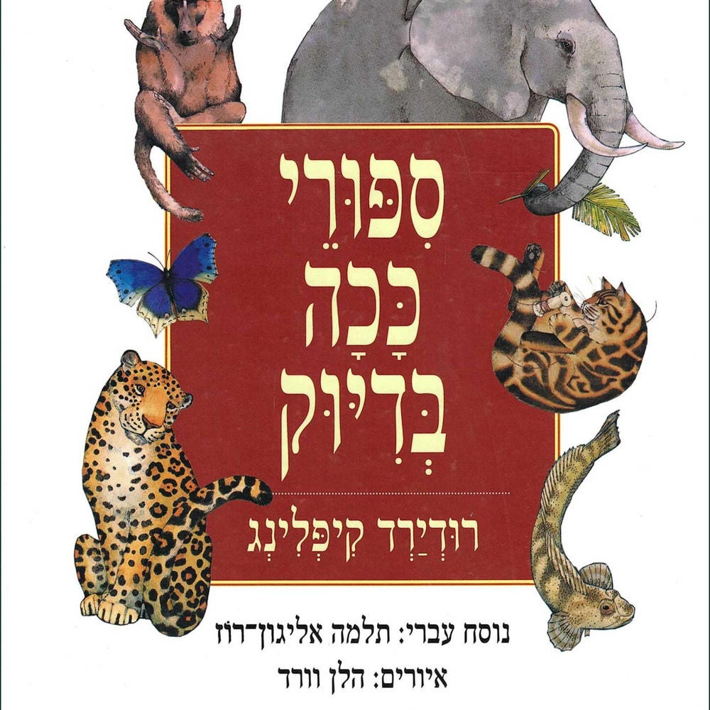 סיפורי ככה בדיוק