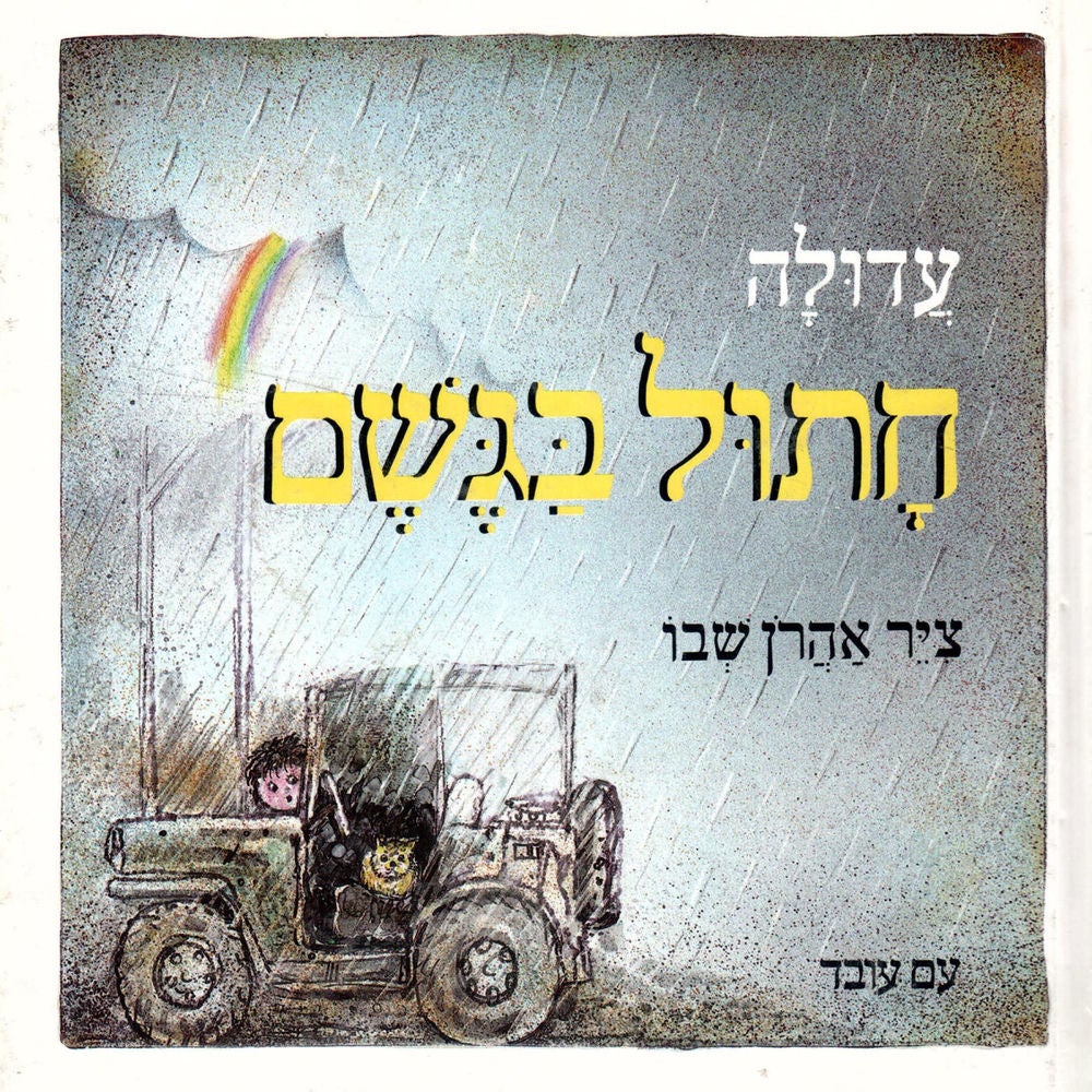 חתול בגשם