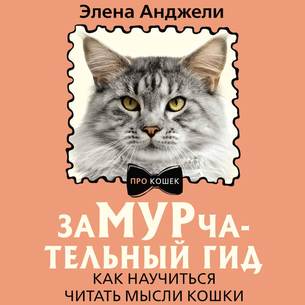 ЗаМУРчательный гид. Как научиться читать мысли кошки