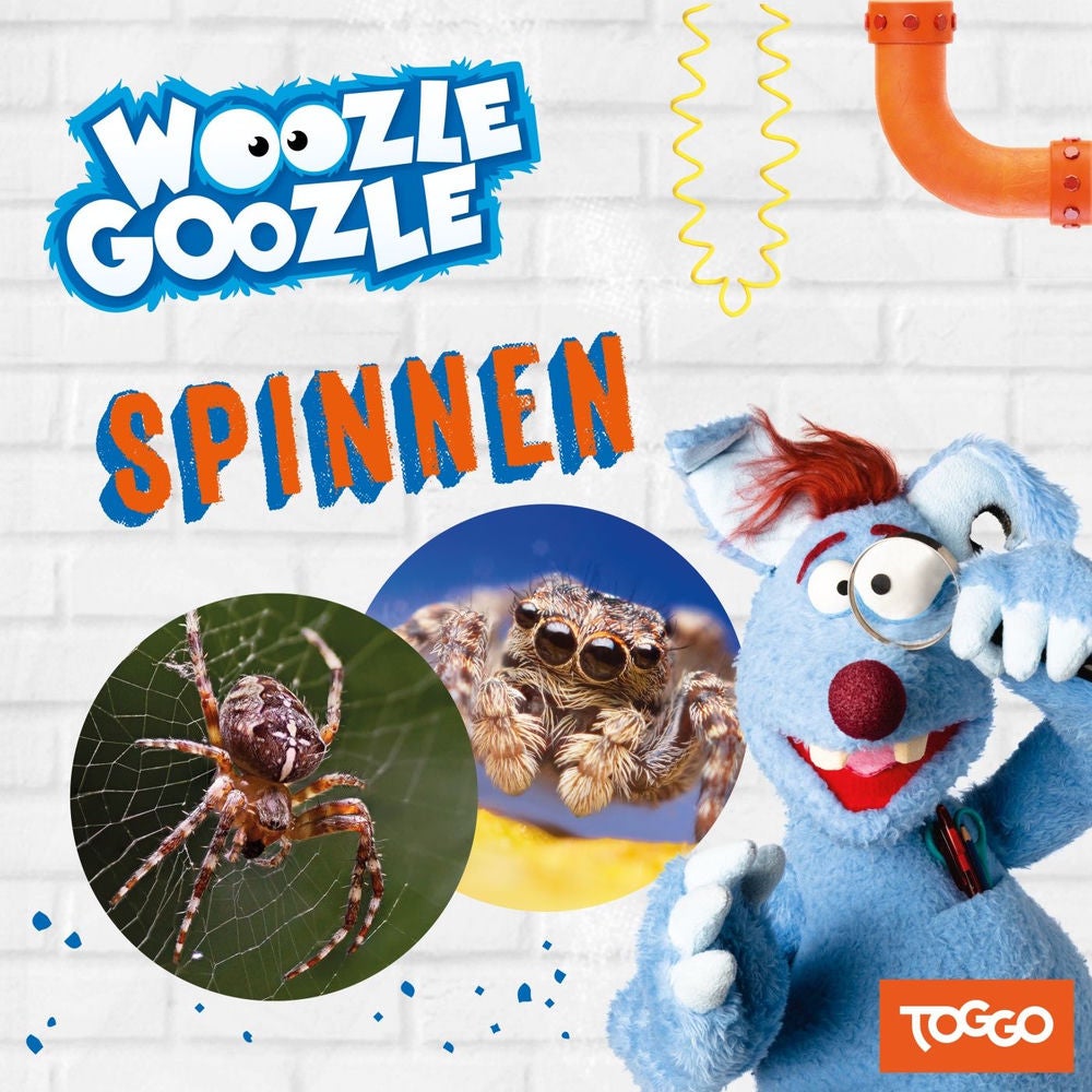 Folge 23: Spinnen