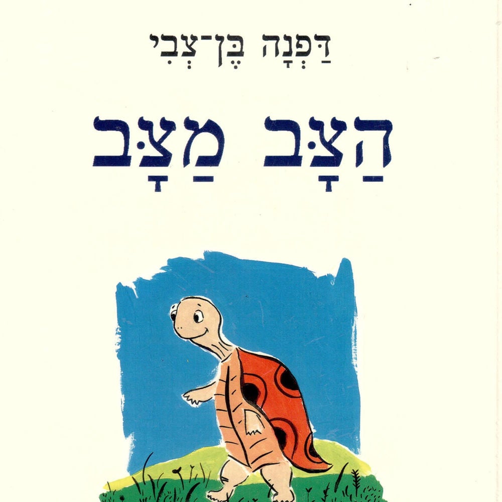 הצב מצב