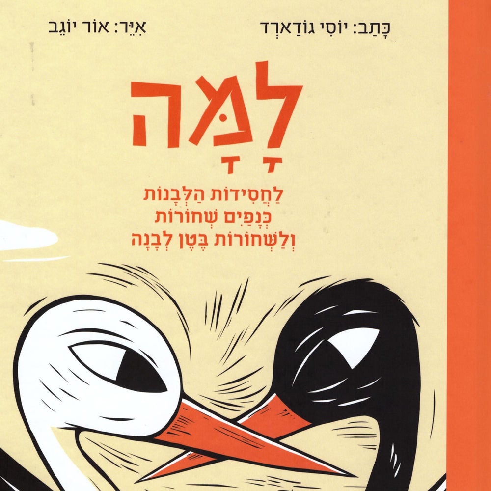 למה לחסידות הלבנות כנפים שחורות ולשחורות בטן לבנה
