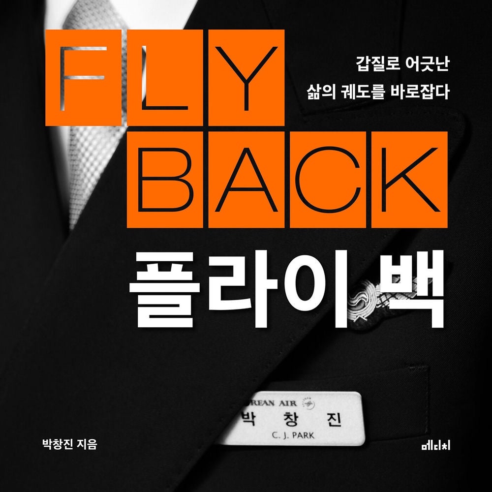 플라이 백