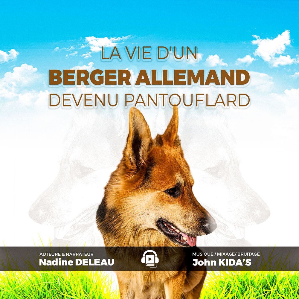 La vie d'un berger Allemand devenu pantouflard