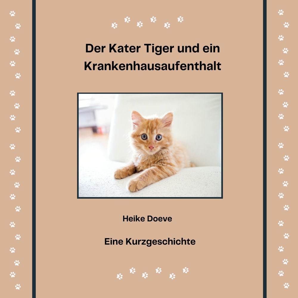 Der Kater Tiger und ein Krankenhausaufenthalt