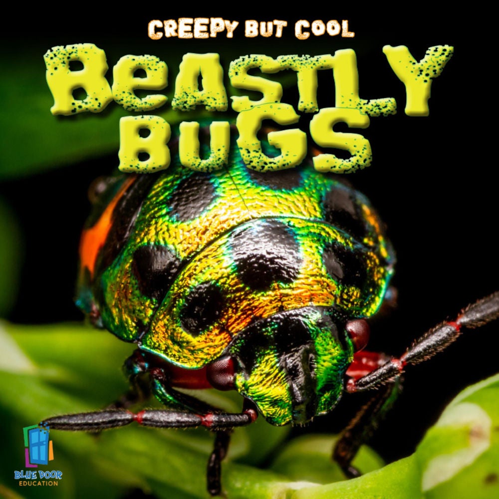 Creepy but Cool Beastly Bugs