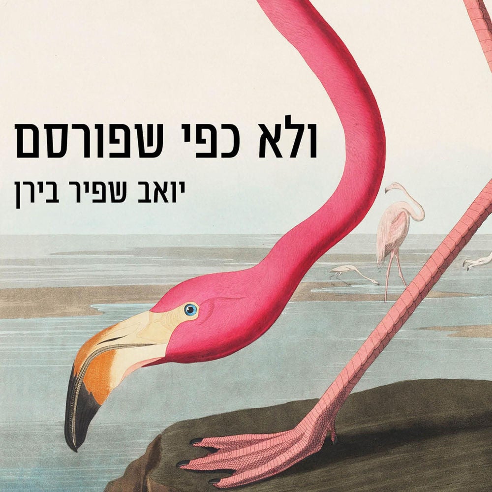 ולא כפי שפורסם