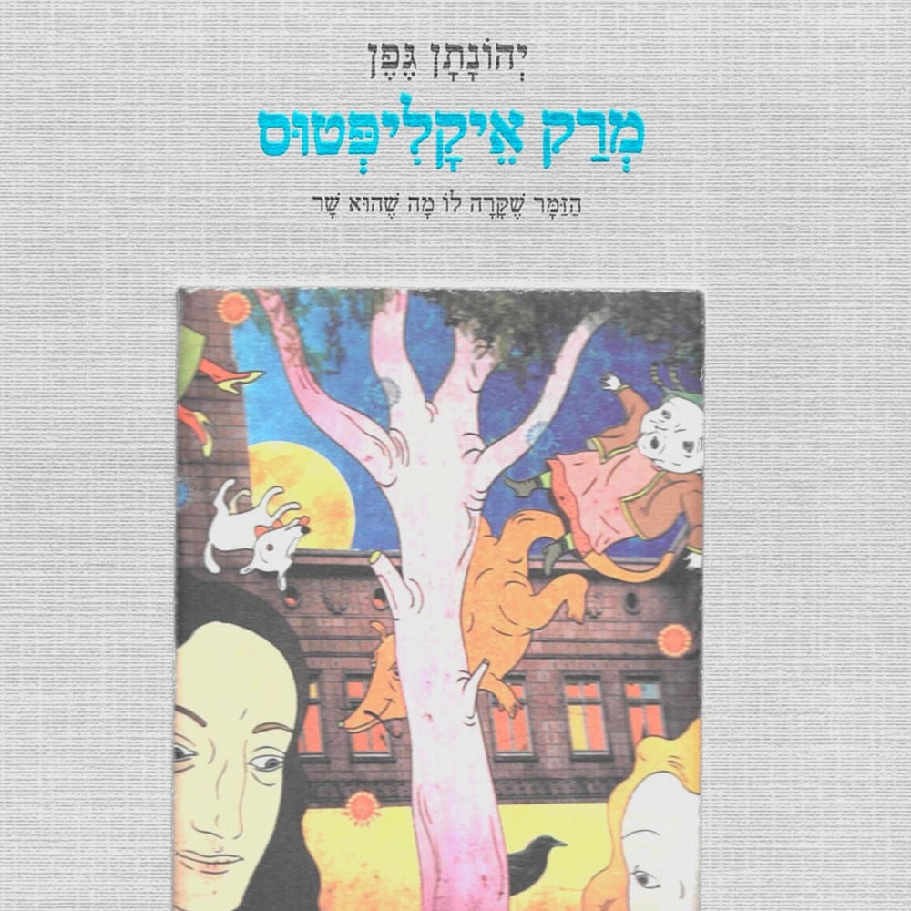 מרק אקליפטוס