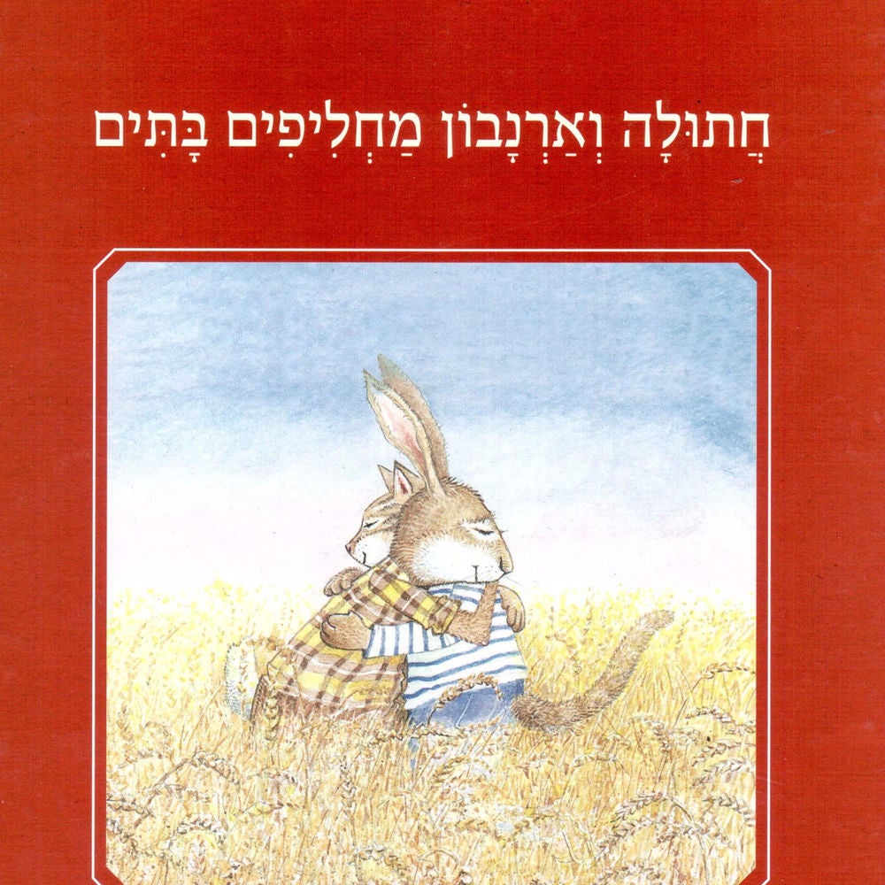 חתולה וארנבון מחליפים בתים