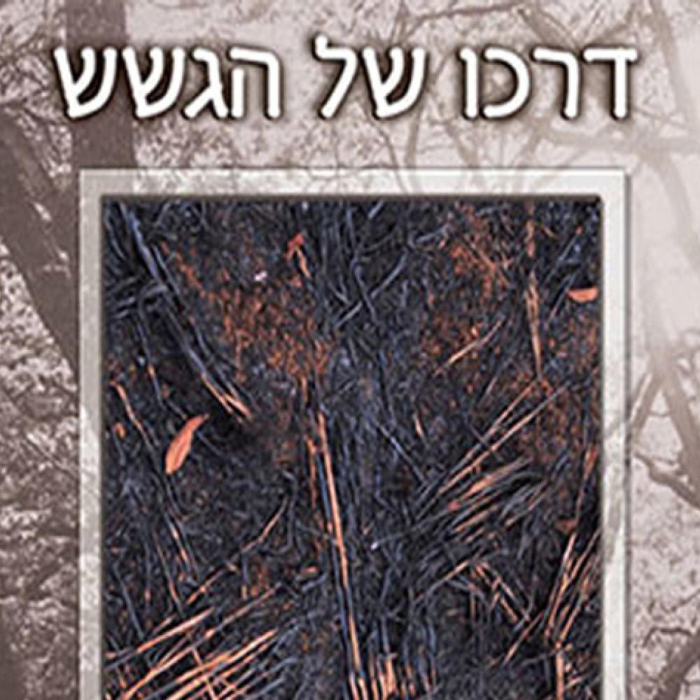 דרכו של הגשש