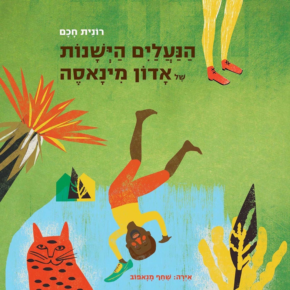 הנעלים הישנות של אדון מינאסה