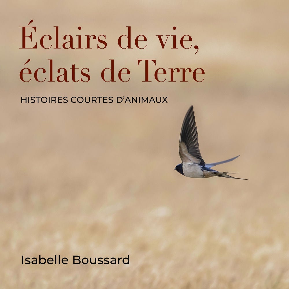 Éclairs de vie, éclats de Terre
