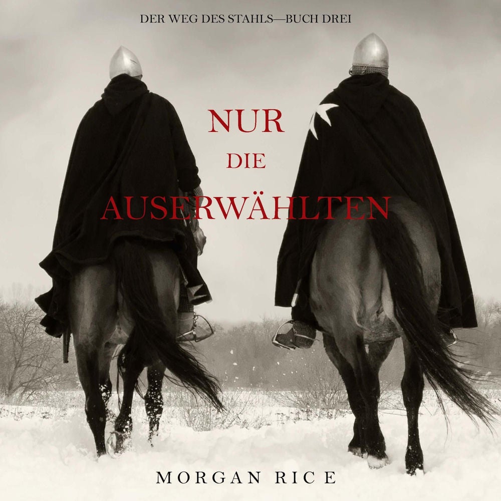 Schicksal (Der Weg des Stahls—Buch Drei)