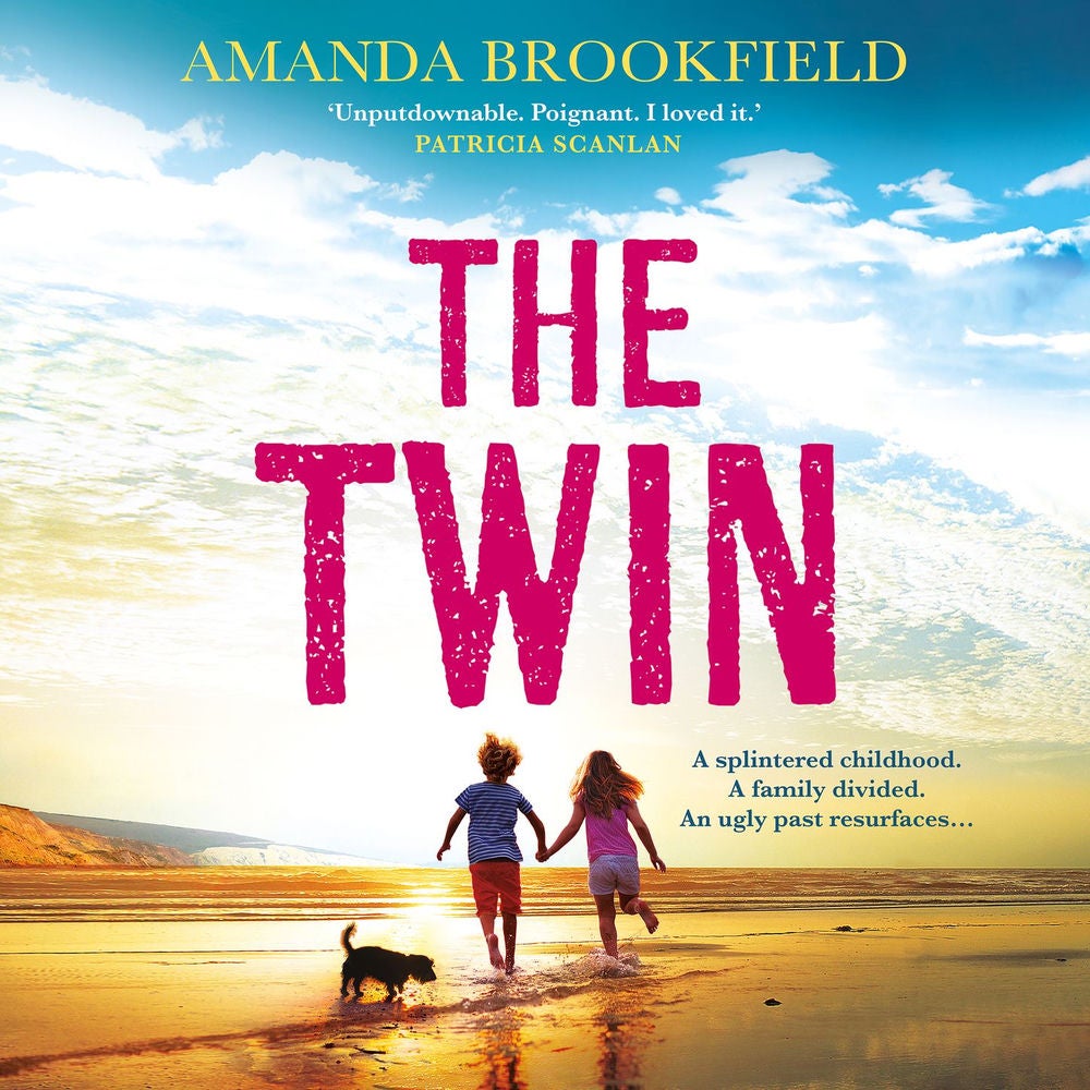 The Twin - The BRAND NEW heart-wrenching, 'perceptive and poignant' family drama from Amanda Brookfield for 2025