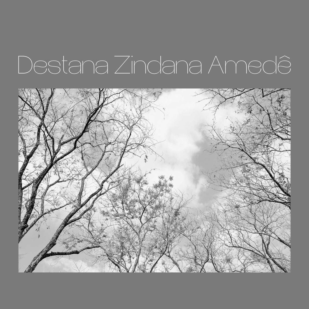 Destana Zindana Amedê