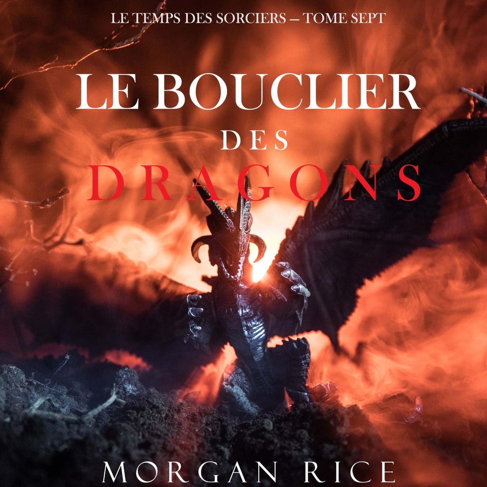 Le Bouclier des Dragons (Le Temps des Sorciers — Tome Sept)