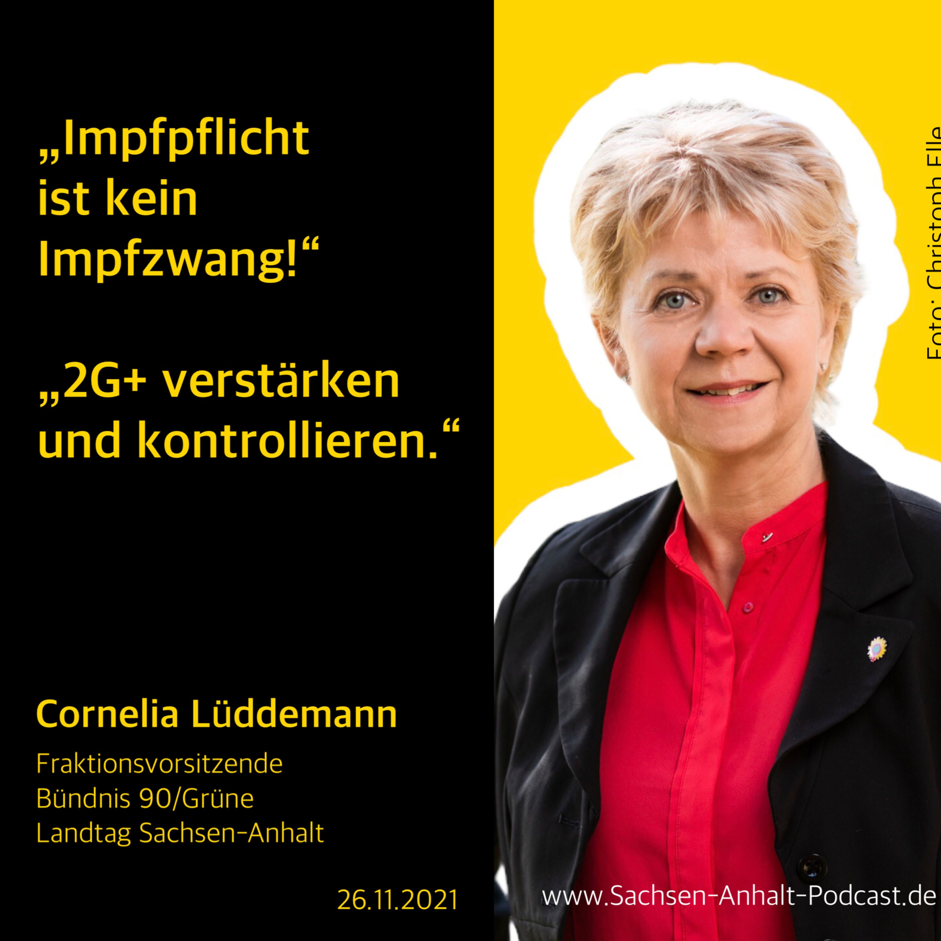 Corona Spezial: Grüne Lösungen - mit Fraktionschefin Cornelia Lüddemann