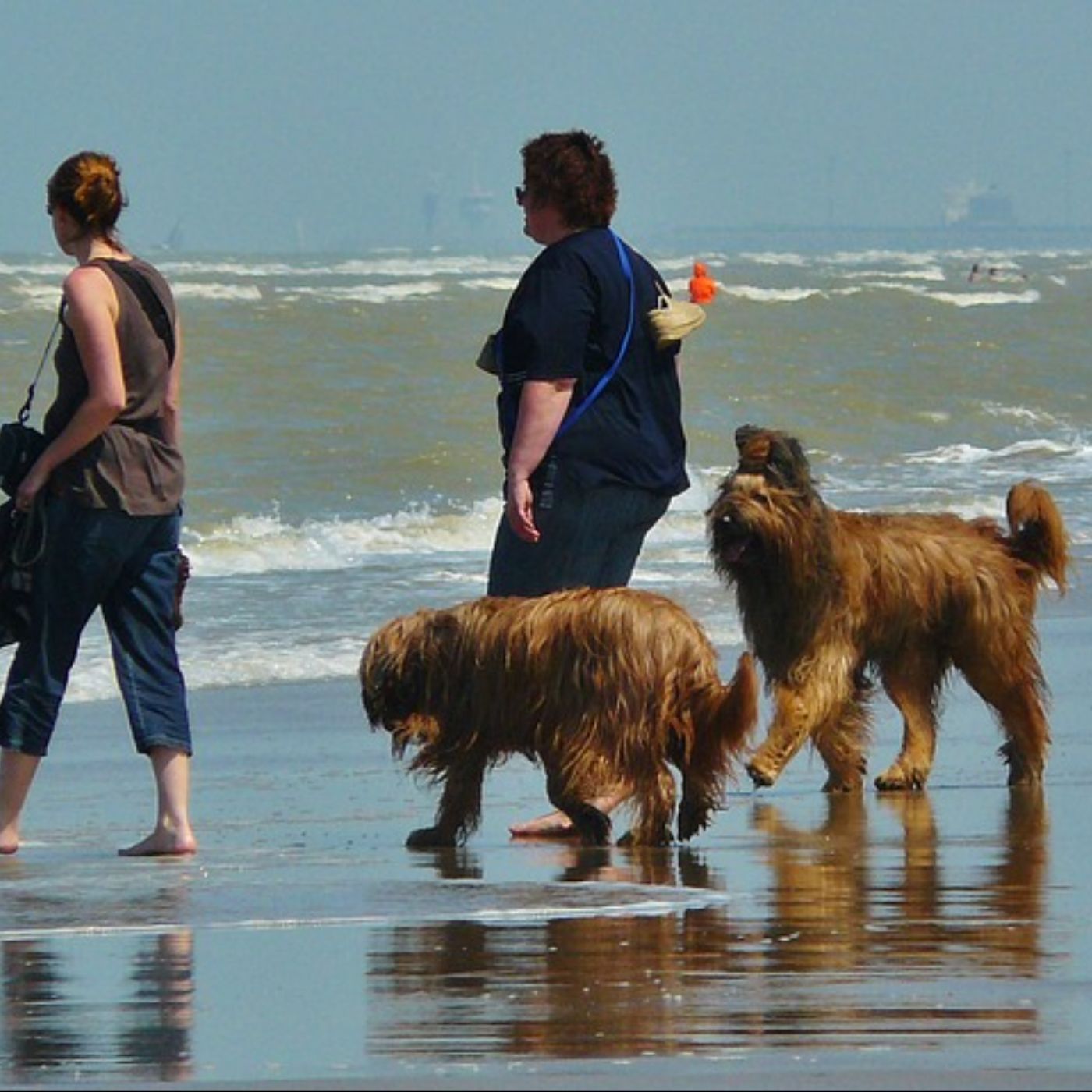 Hundehotels