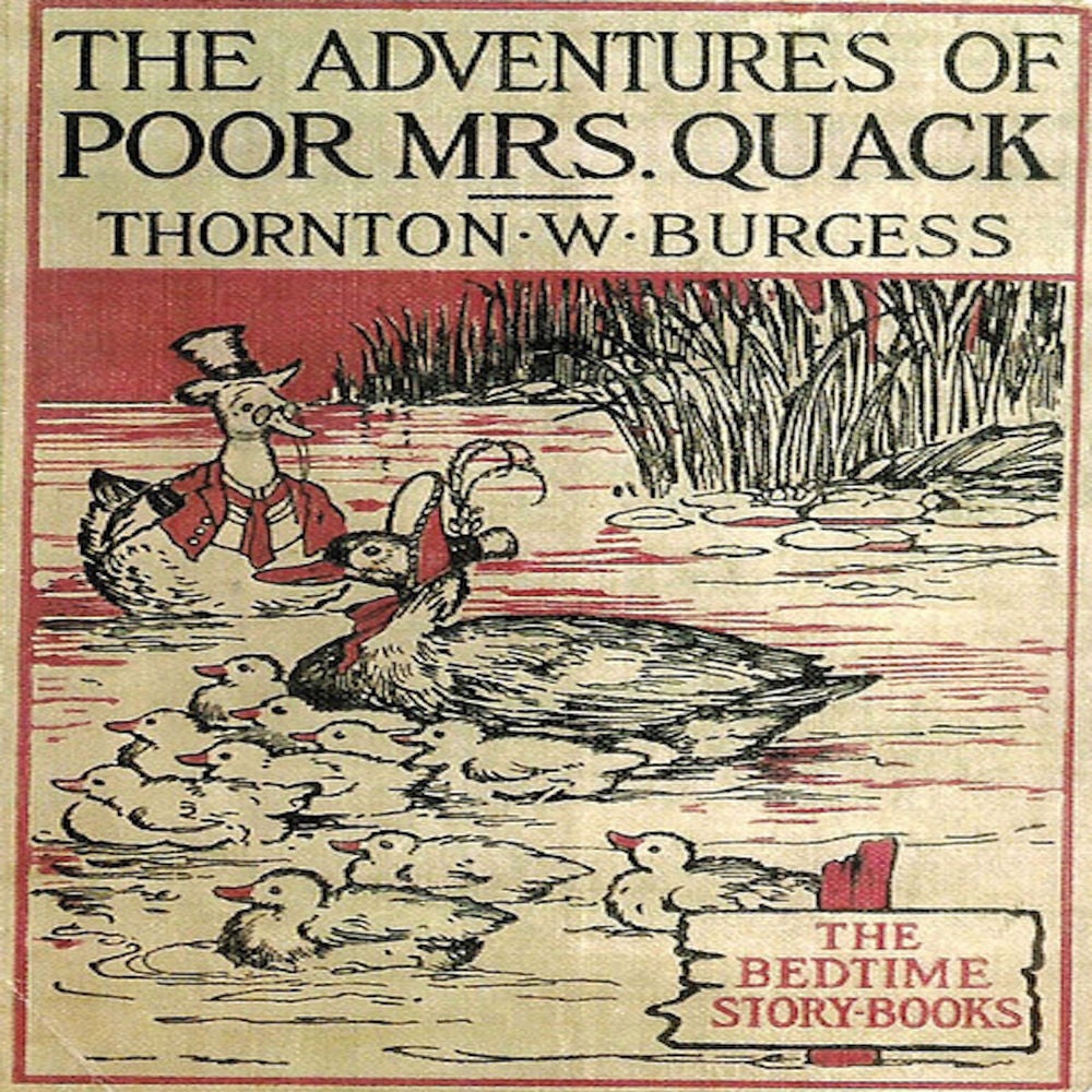 The Adventures of Poor Mrs. Quack