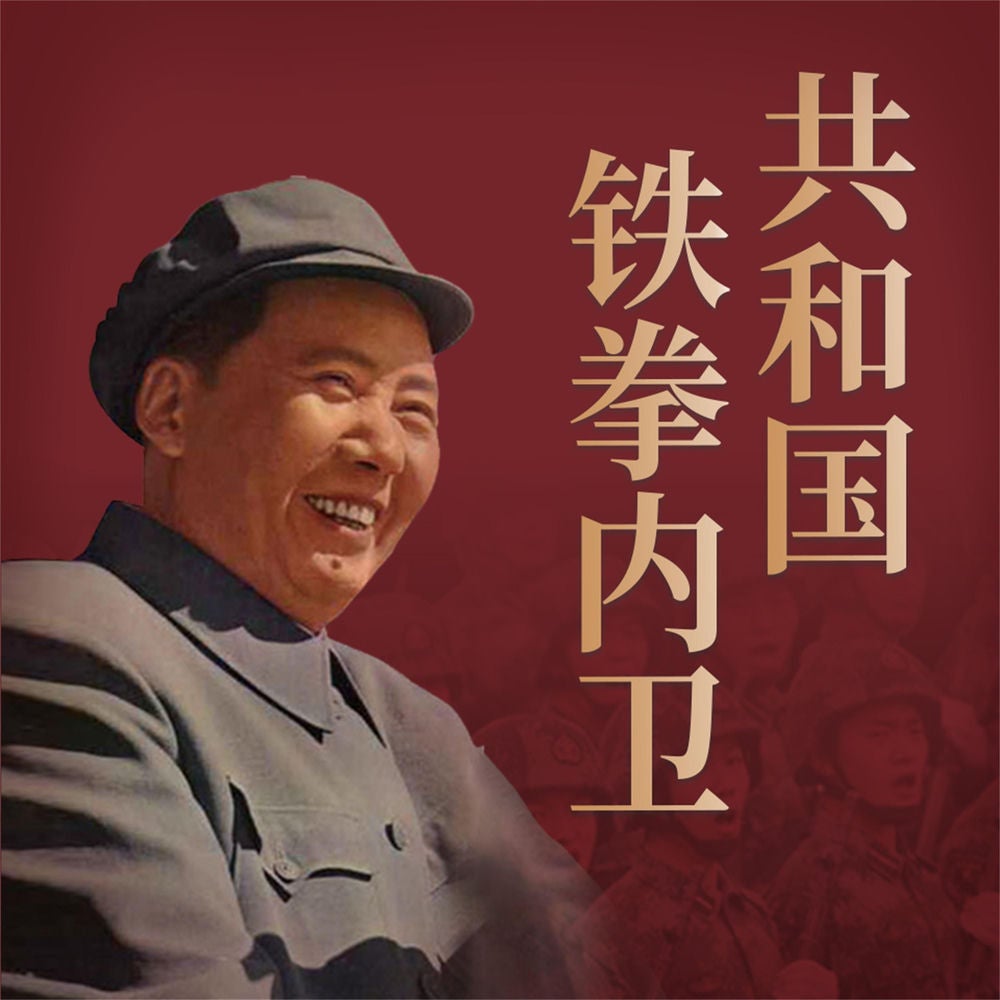 共和国铁拳内卫