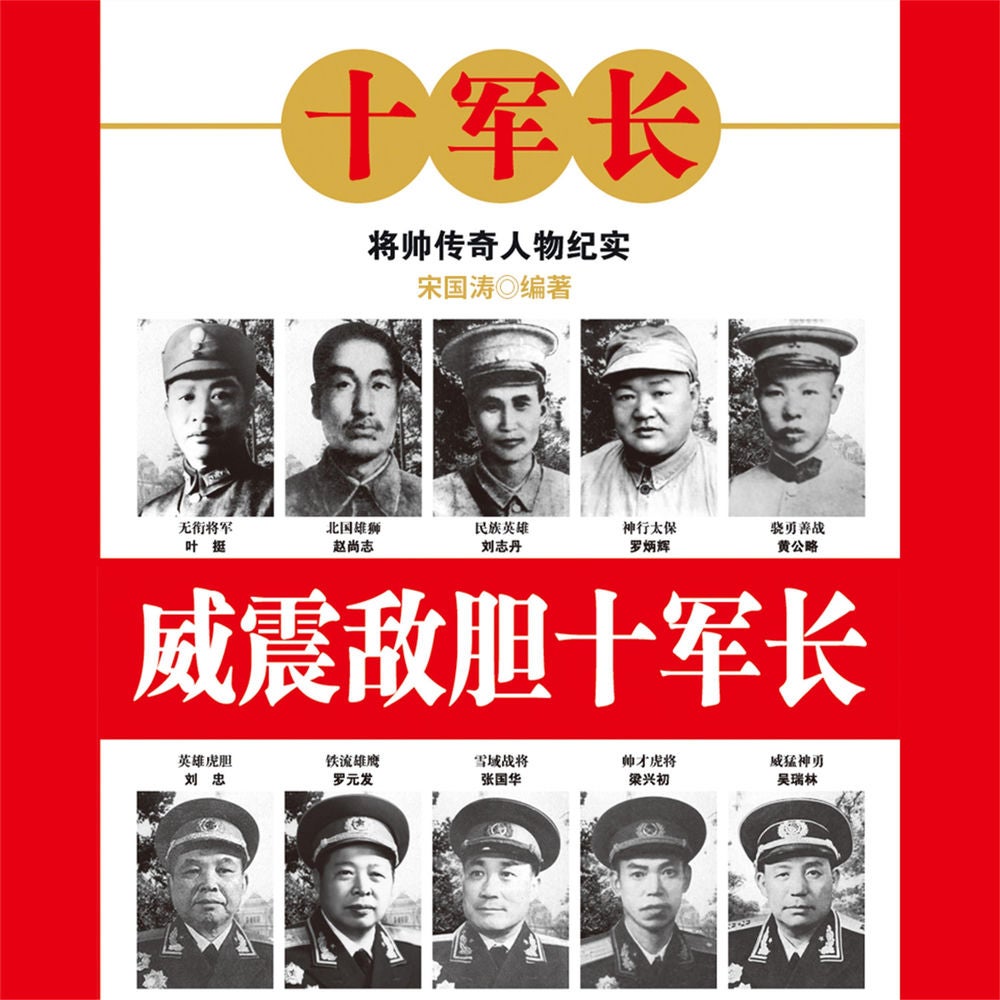 威震敌胆十军长
