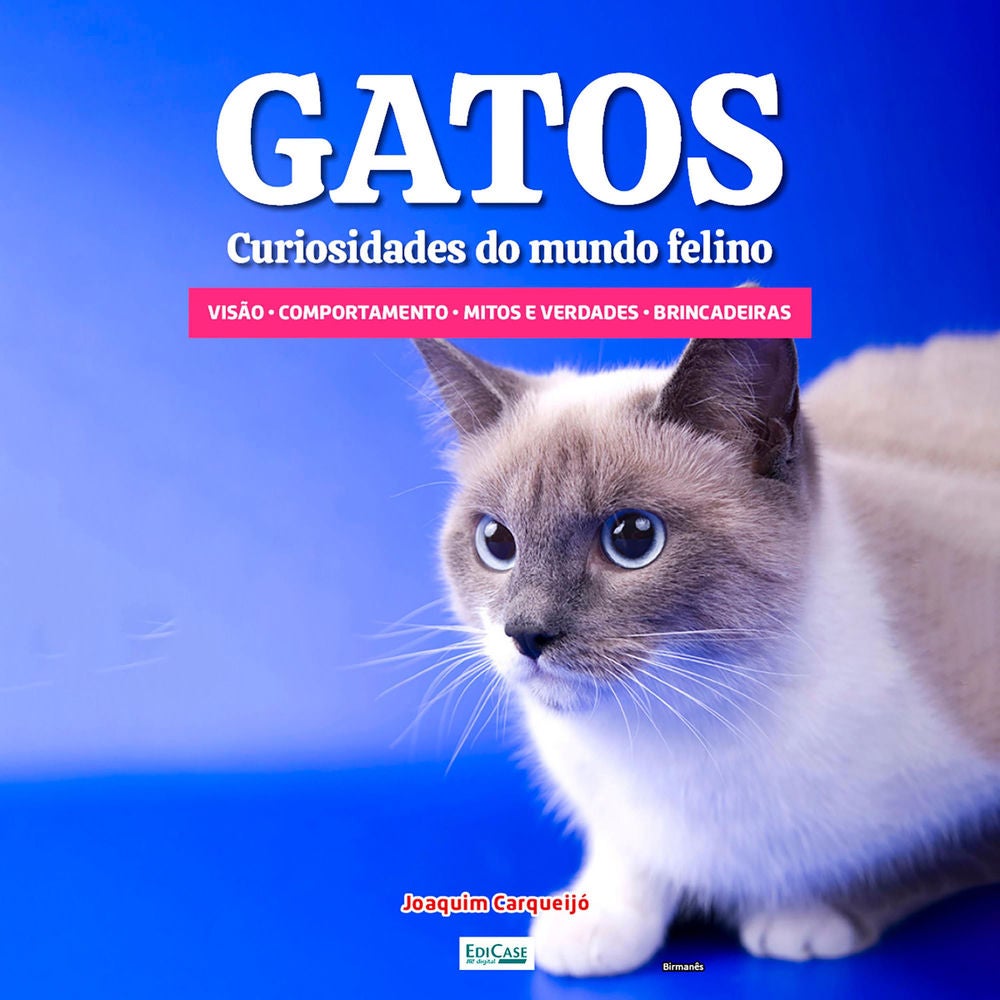 Gatos Curiosidades do Mundo Felino