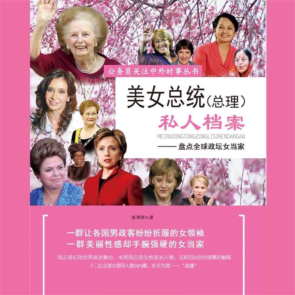 美女总统（总理）私人档案